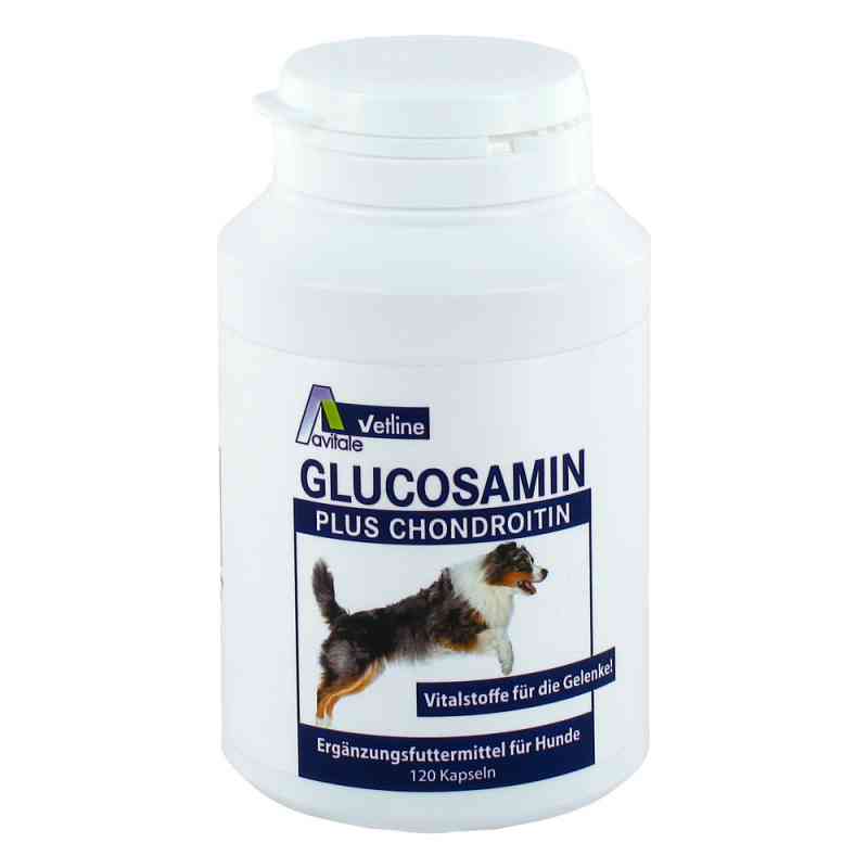Glucosamin+chondroitin Kapseln für Hunde 120 stk