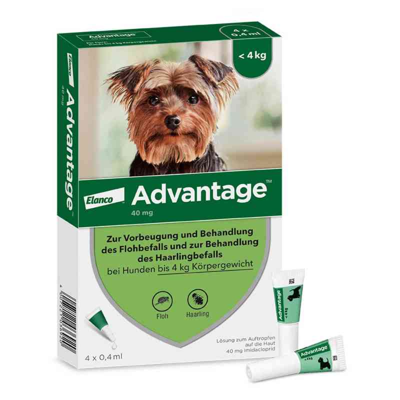 Advantage 40 für Hunde Lösung 4 stk Apotheke.de
